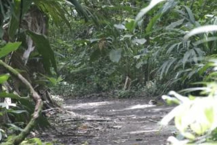 566a8025-8c00-45fc-9e25-e12b2b4b693f