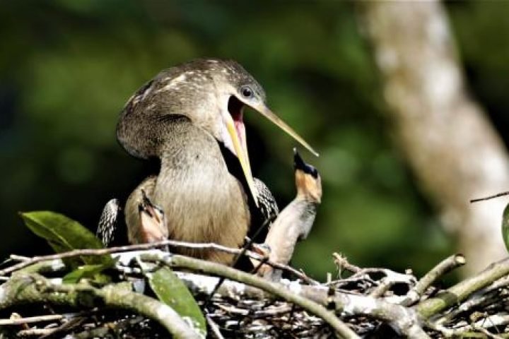 997bca6f-9a13-49fc-9027-4956334150b7