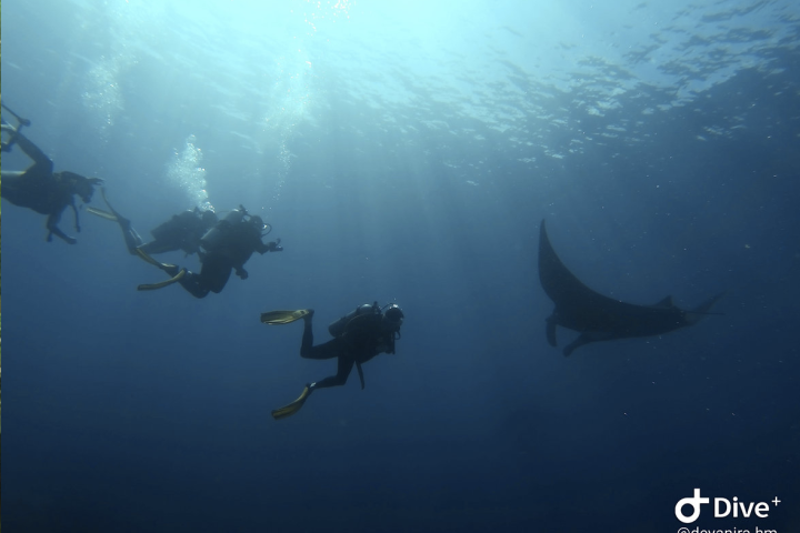 Screenshot 2024-08-08 at 23.48.12