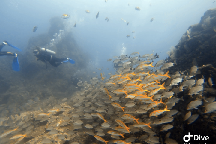 Screenshot 2024-08-08 at 23.48.21