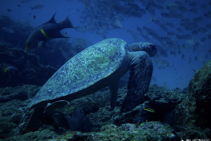 Screenshot 2024-08-08 at 23.48.29