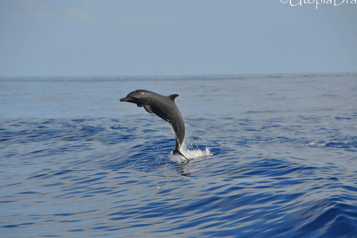 Screenshot 2024-08-08 at 23.48.44