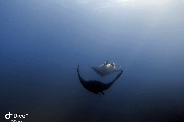 Screenshot 2024-08-08 at 23.48.51