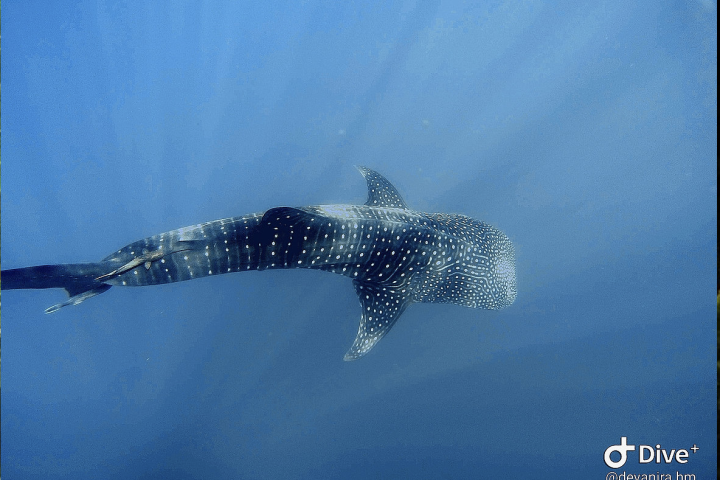 Screenshot 2024-08-08 at 23.49.06