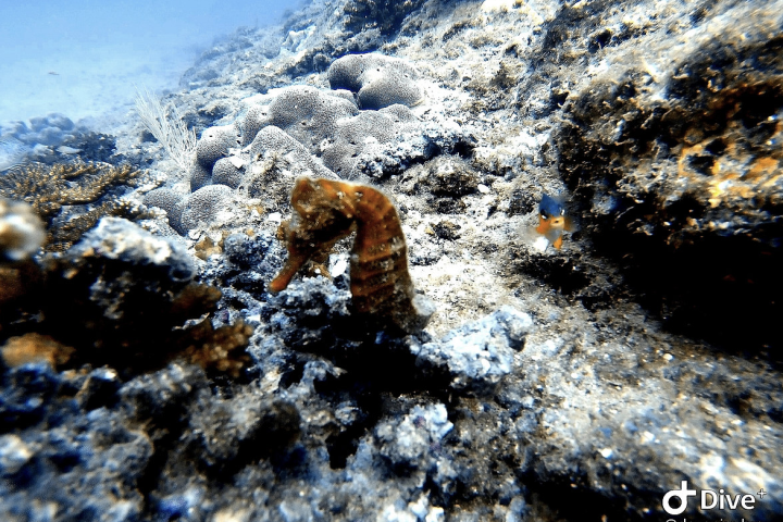 Screenshot 2024-08-08 at 23.49.13