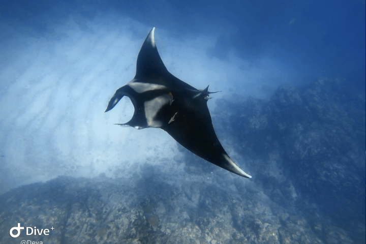 Screenshot 2024-08-08 at 23.49.23