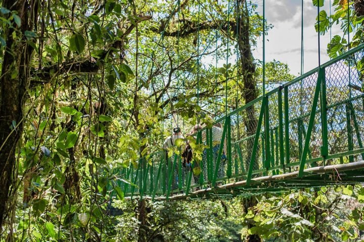 Treetop-Walkways-Selvatura-Park-13