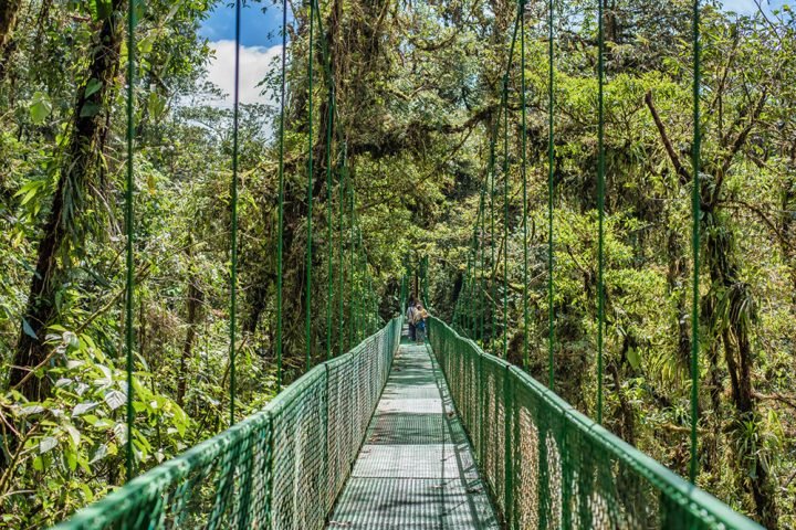 Treetop-Walkways-Selvatura-Park-6