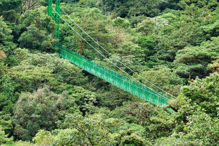 Treetop-Walkways-Selvatura-Park-8