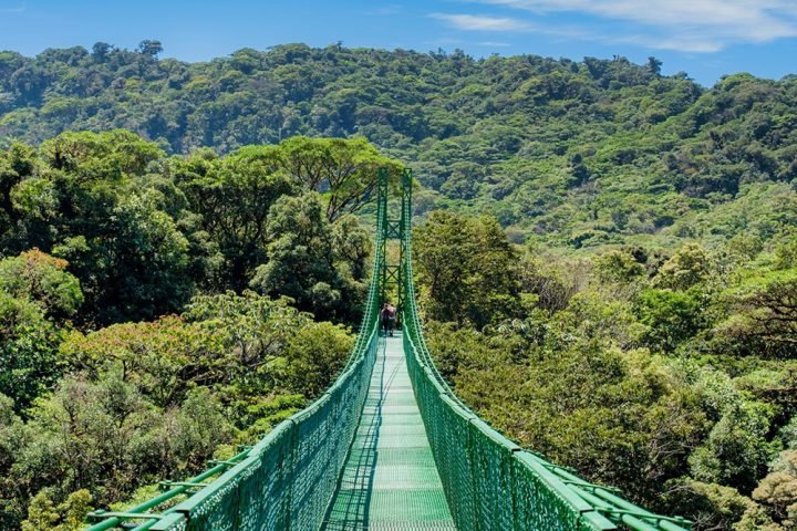 Treetop-Walkways-Selvatura-Park-9