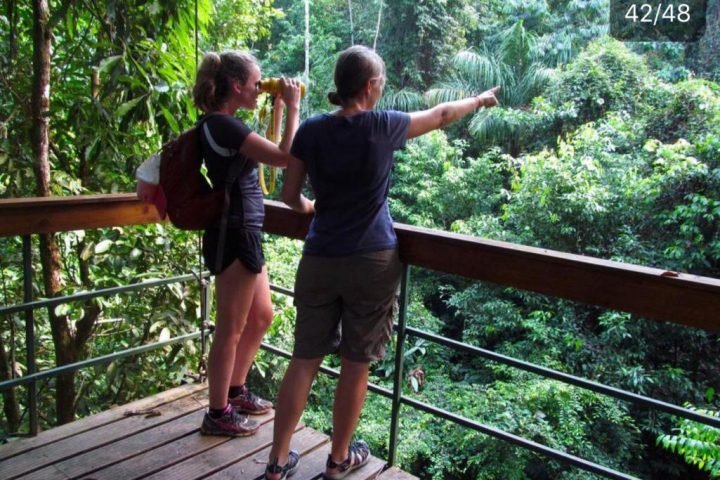 WhatsApp-Image-2020-02-06-at-21.28.36