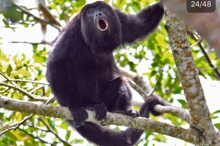 WhatsApp-Image-2020-02-06-at-21.28.37