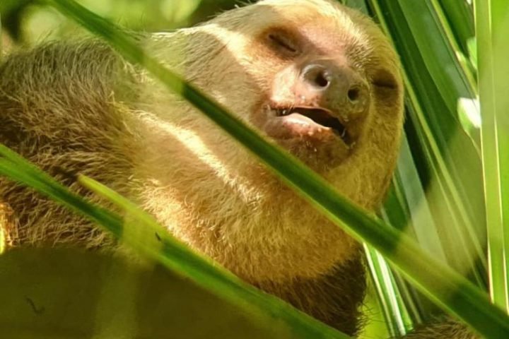 WhatsApp-Image-2020-02-06-at-21.28.43