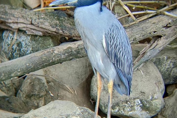 WhatsApp-Image-2020-11-18-at-13.13.20-2