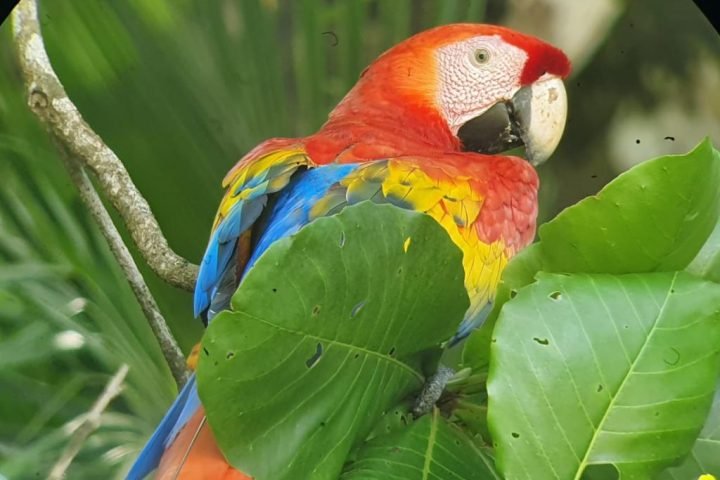 WhatsApp-Image-2020-11-18-at-13.13.20