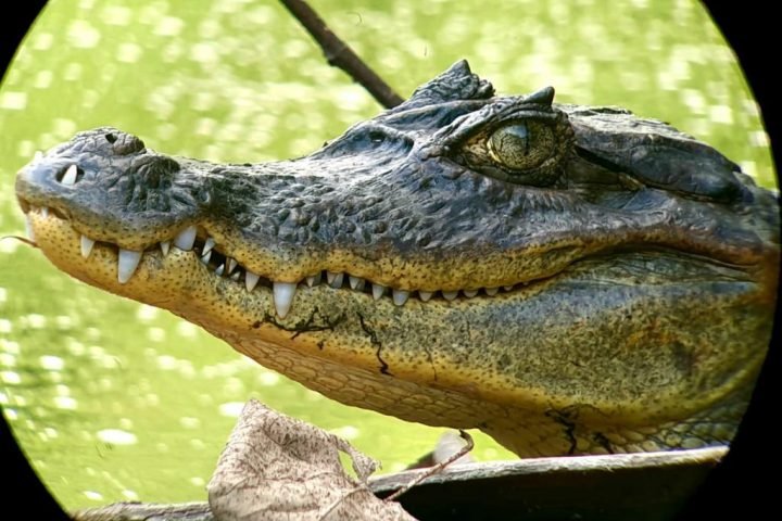 WhatsApp-Image-2020-11-18-at-13.13.21