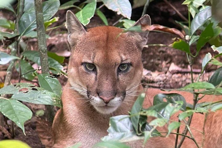 WhatsApp Image 2023-12-21 at 4.02.11 PM 2