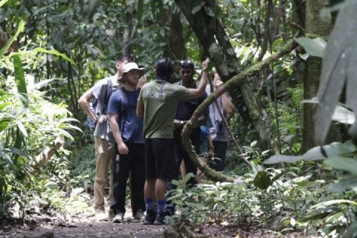 cbbc3986-67b4-4eff-a08c-c88b45c63c02