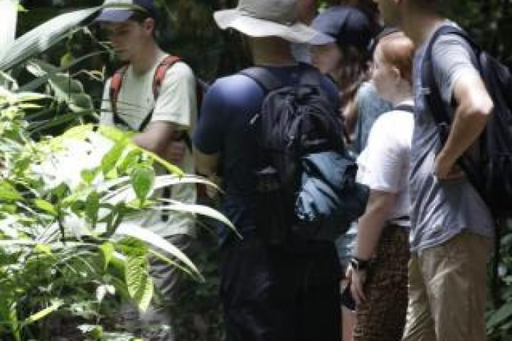 def3dca6-b6b6-4f63-a579-005f254a4119