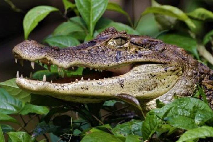 fb2f4ad3-0cda-4618-92a1-6d5cfd592889