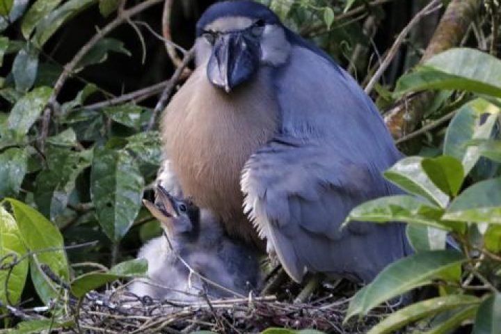 fd84ff1c-4e55-4c68-8f9e-3b7542043a05